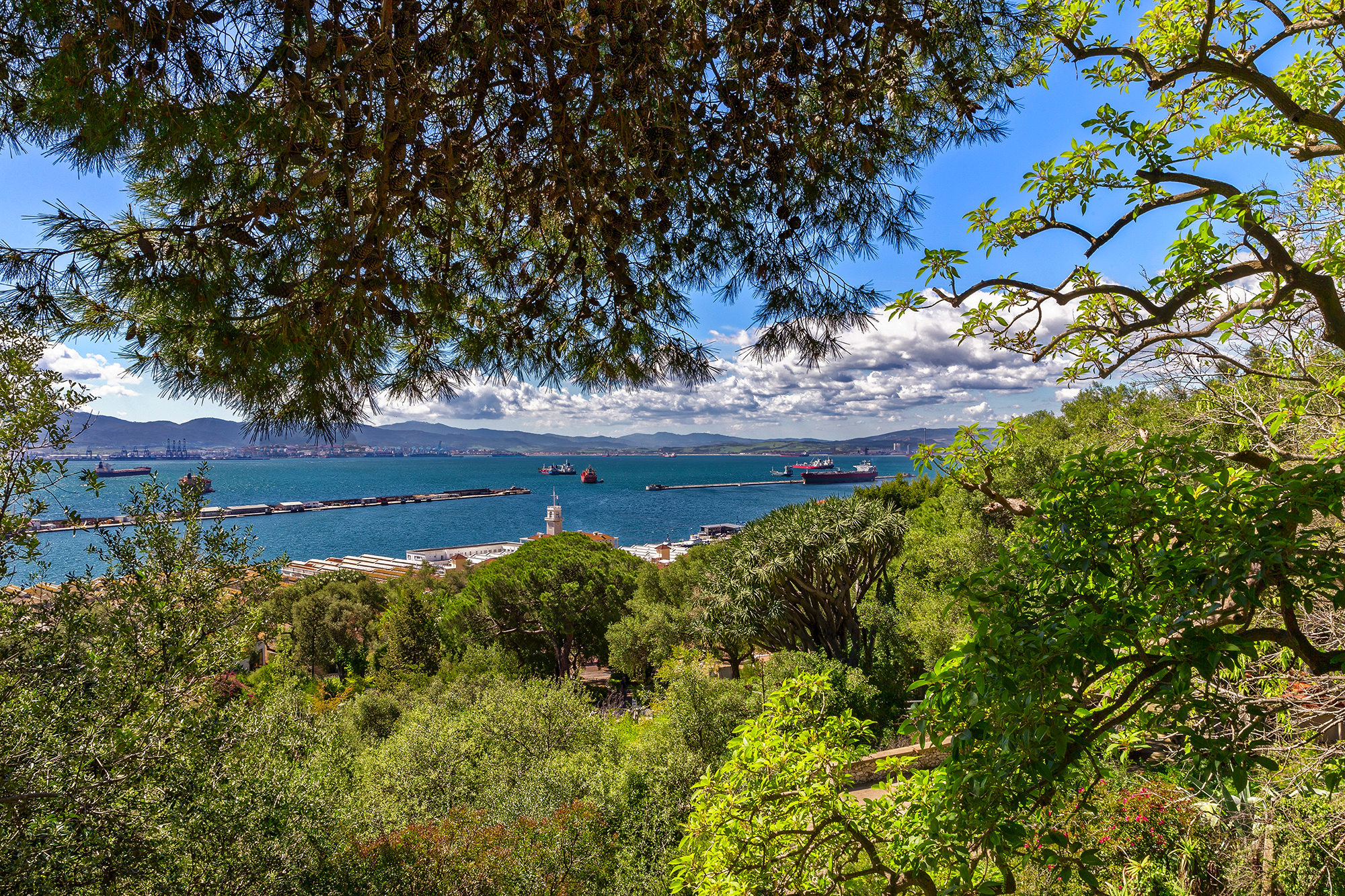 Gibraltar - Des jardins botaniques, vue sur la baie de Gibraltar